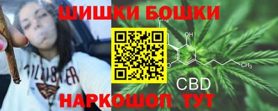 соль ск Славгород