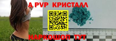 амф Сланцы