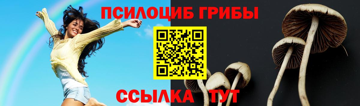 Менделеевск  Псилоцибиновые грибы Magic Shrooms  наркота  Вход с VPN  Галлюциногенные грибы прущие грибы 